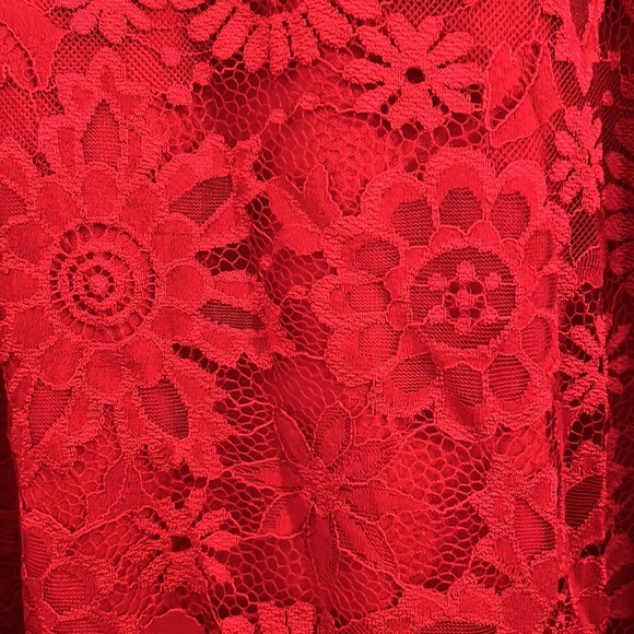 Beautiful and Rare NWT Red Lace Lucy Skirt by LuLaRoe XL - Picture 3 of 5